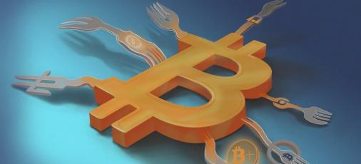 Сводные братья биткоина: история хардфорков